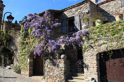 flowering house in french village of Castelnou in Pyrenees orientales, France