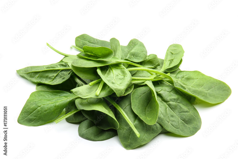 Fresh spinach leaves on white background Fresh spinach leaves on white background