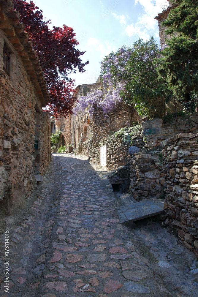 Street in french village of Castelnou in Pyrenees orientales, France Street in french village of Castelnou in Pyrenees orientales, France