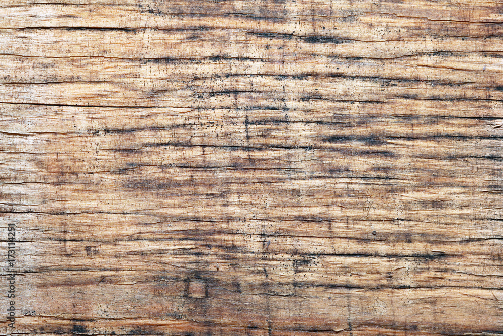 Worn wooden background or texture Worn wooden background or texture