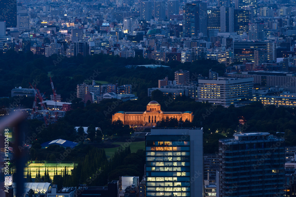 Obraz premium 東京の夜景風景