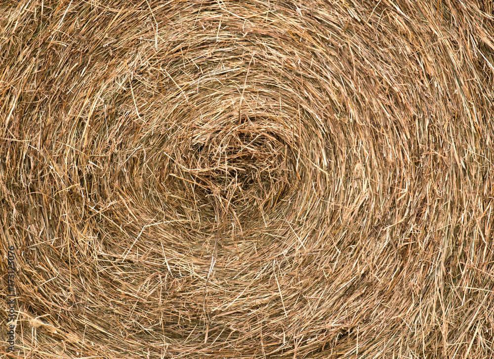 Proces of harvesting, stacked hay bales for feeding animals Proces of harvesting, stacked hay bales for feeding animals