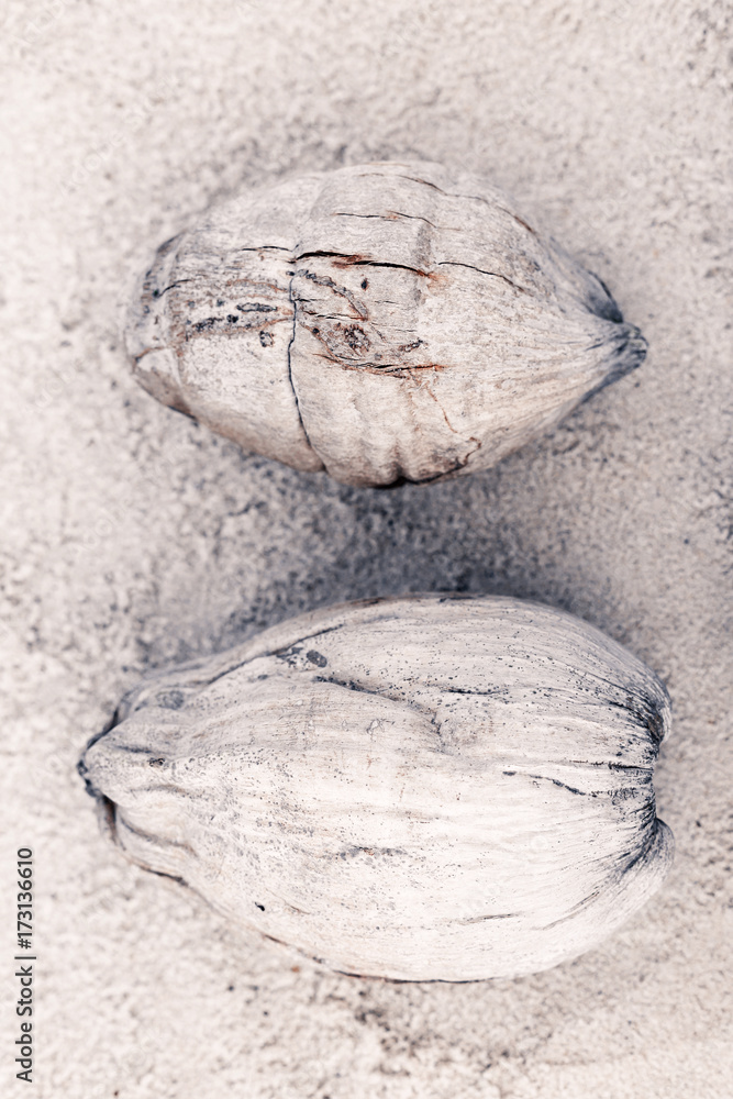 two coconuts on sand at the beach. top view two coconuts on sand at the beach. top view