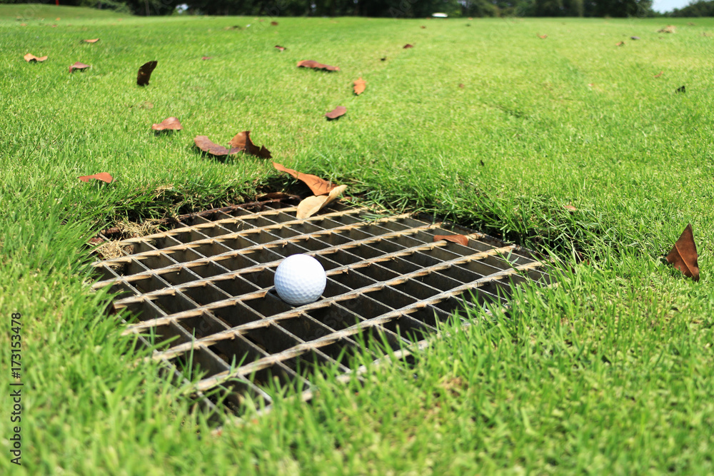 Golf Ball on the Drainage Screen Immovable Obstruction Rule 24 Stock