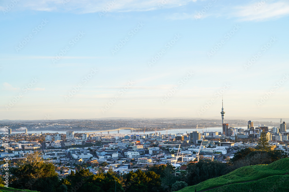 Sky Tower and Auckland Harbour Bridge landmarks on city skyline from atop Mount Eden.