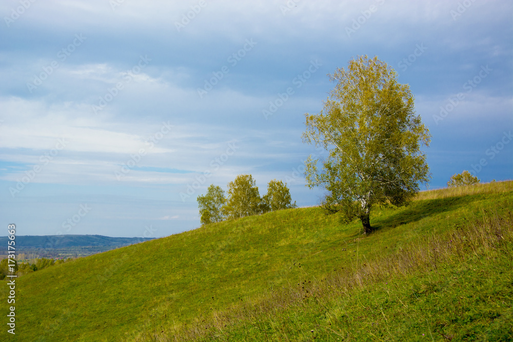 autumn gold, the nature of Russia. Golden September autumn gold, the nature of Russia. Golden September