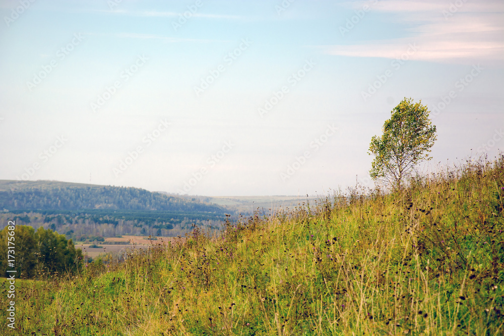 autumn gold, the nature of Russia. Golden September