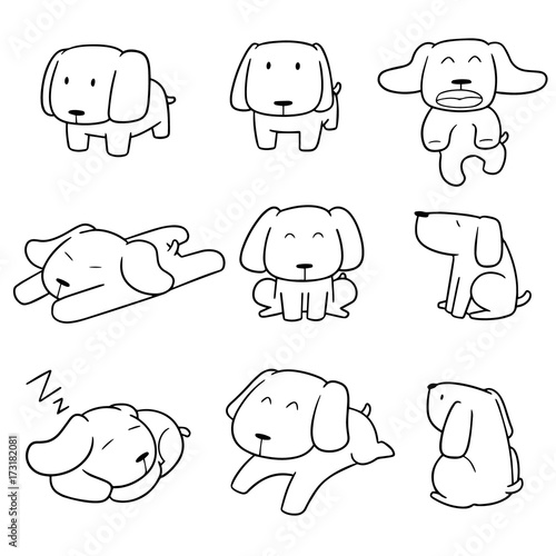 vector set of dog, labrador retriever