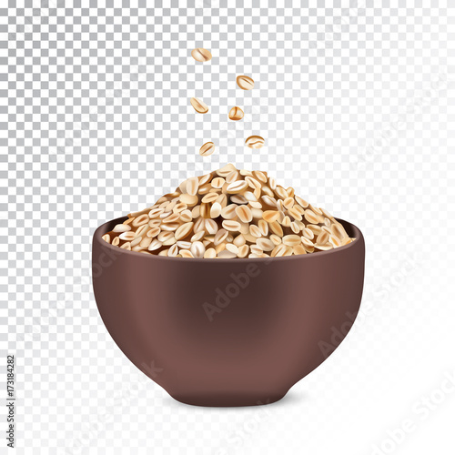 Vector realistic illustration of oatmeal and muesli.