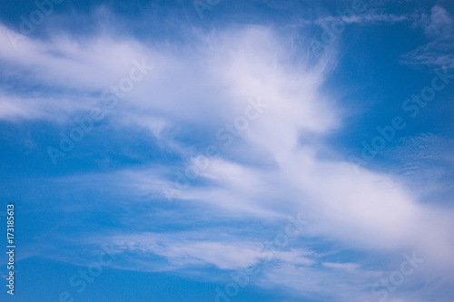 Fototapeta Naklejka Na Ścianę i Meble -  The white cloud in the blue sky of summer