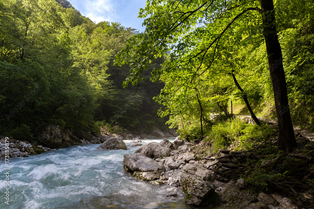 Soča national park mountain river stream forest and green trees evening blue water Soča national park mountain river stream forest and green trees evening blue water