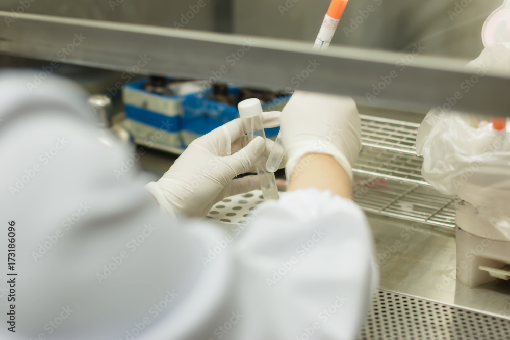 Medical technicians working in laboratory at the hospital. Medical technicians working in laboratory at the hospital.