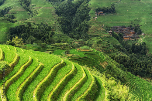 Longi rice terrace