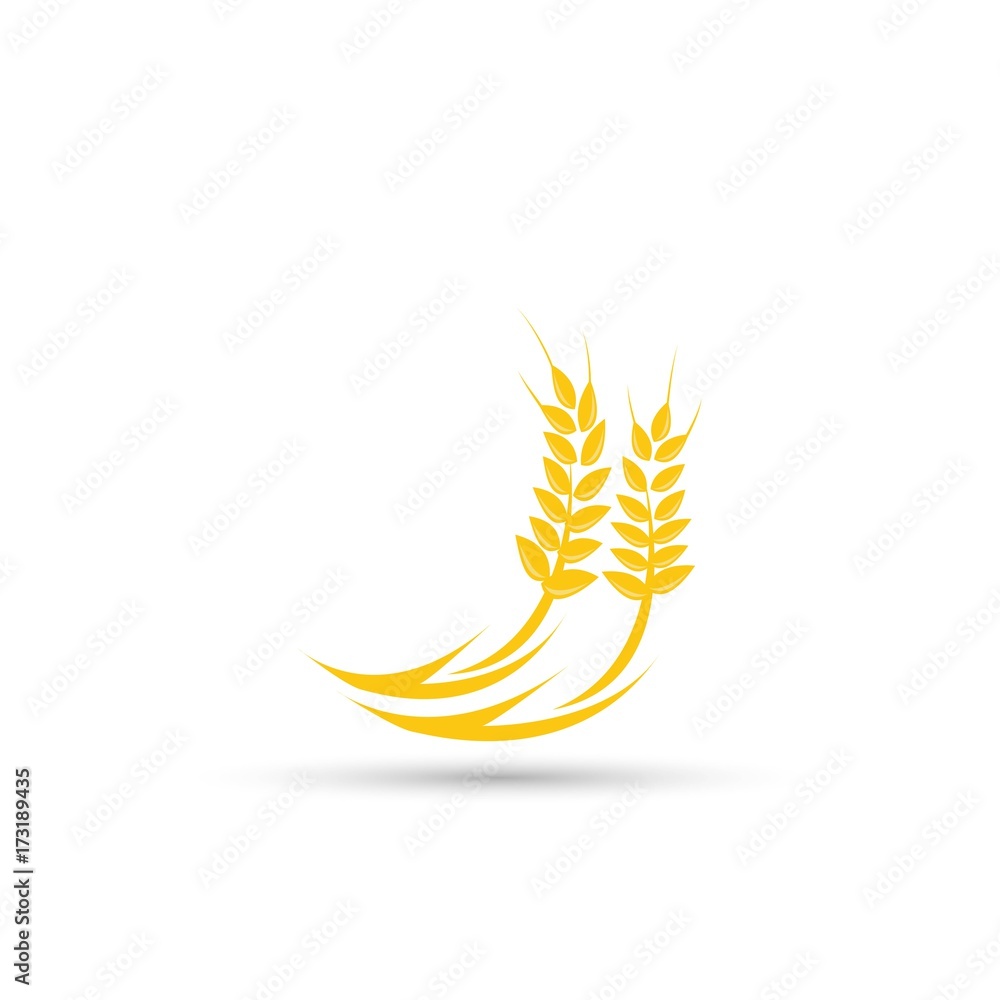 Fototapeta premium Ears of Wheat icon.