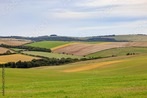 Sussex Patchwork Landscape © lemanieh