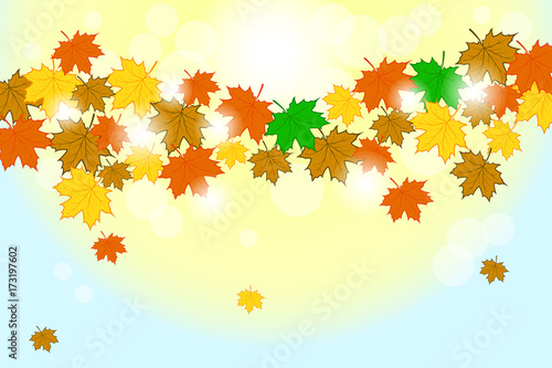 Autumn background with leaves