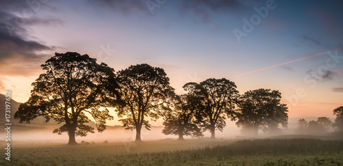Mist in the Fields at Sunrise © mountaintreks