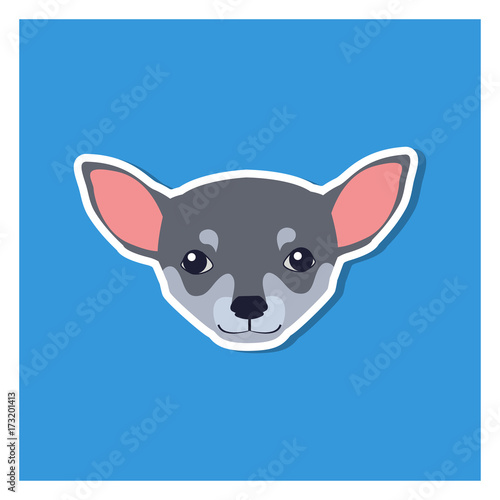 Little Head of Chihuahua Dog Front View Flat Icon