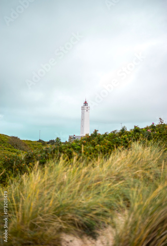 Blåvand Lighthouse in between dunes near the beach in Denmark danish in Scandinavia photo