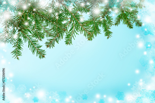 Blue background with snow and fir-tree. Christmas. New Year. Natural background.