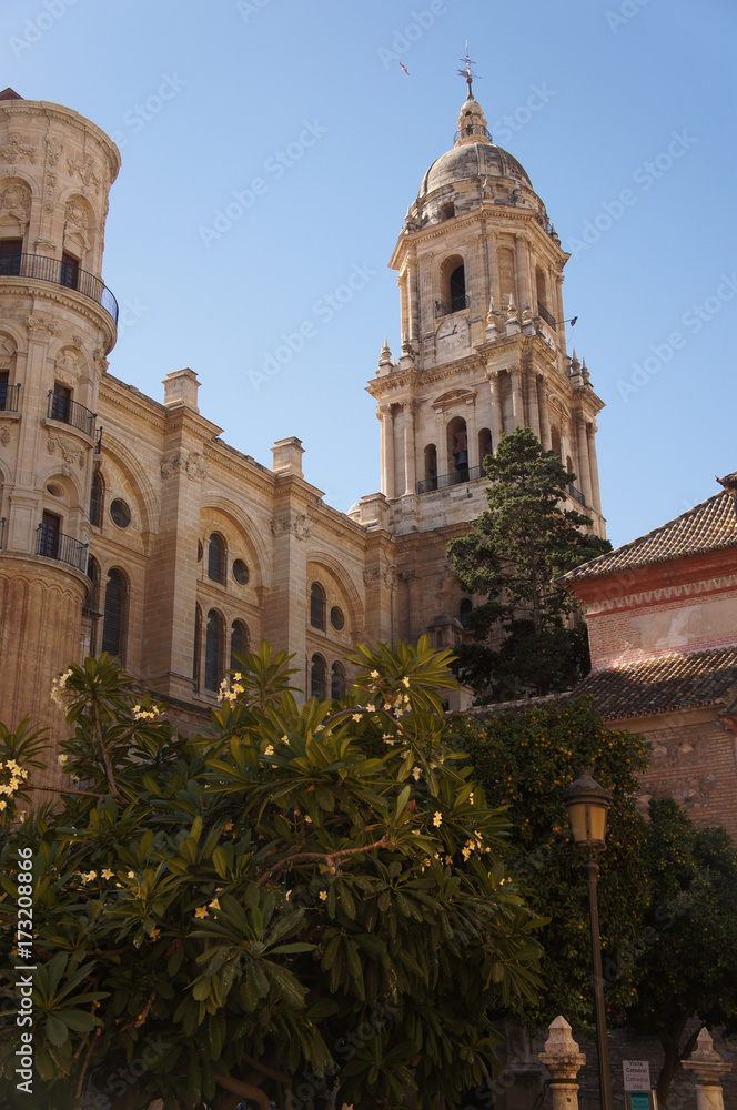 Garden surrounding the tower of Cathedral in Malaga, Spain (Catedral de la Encarnación de Málaga)