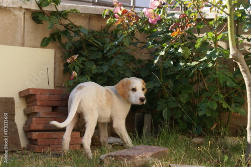 Descubriendo el mundo