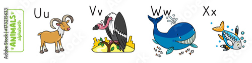Animals alphabet or ABC.