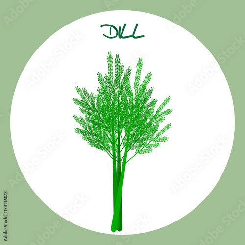 Dill icon in flat style. Vector illustration.