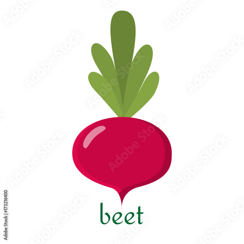 Beet icon in flat style isolated on white background.