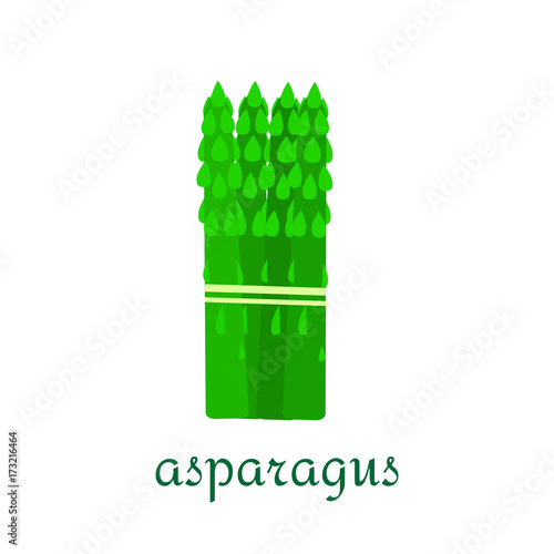 Asparagus icon in flat style isolated on white background.