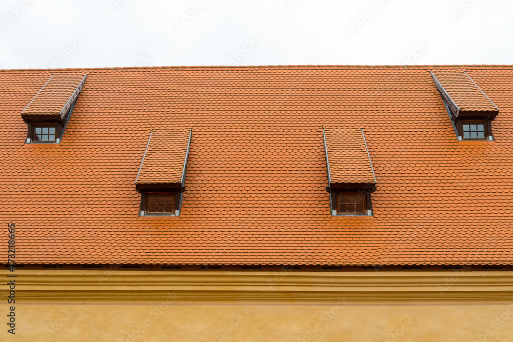 Tile roof of old castle Tile roof of old castle
