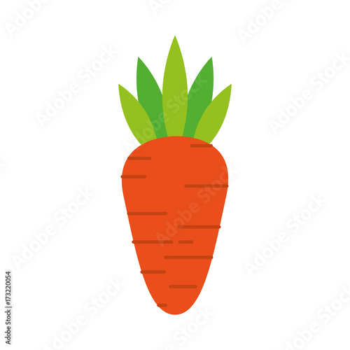 carrot vegetable fresh healthy food vector illustration