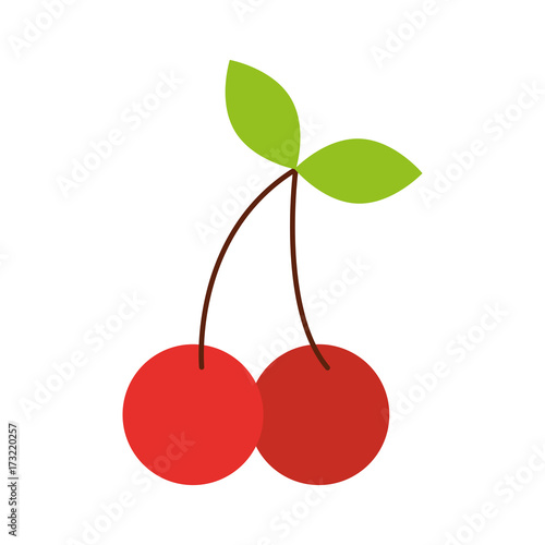 fruit cherry leaves natural delicious sweet vector illustration