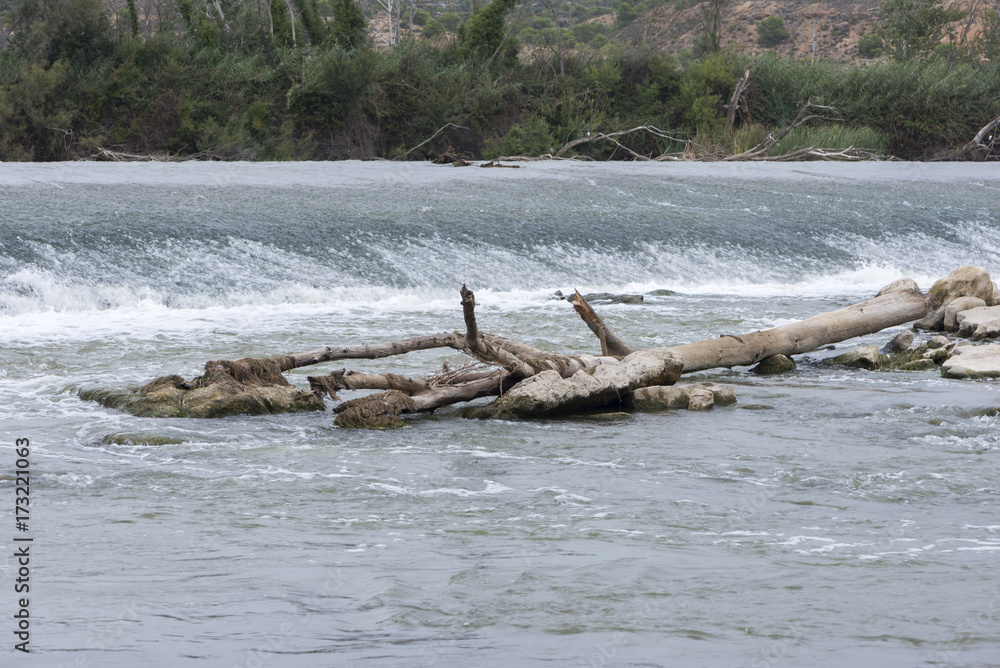 The river Ebro on its way through Escatron, Aragon