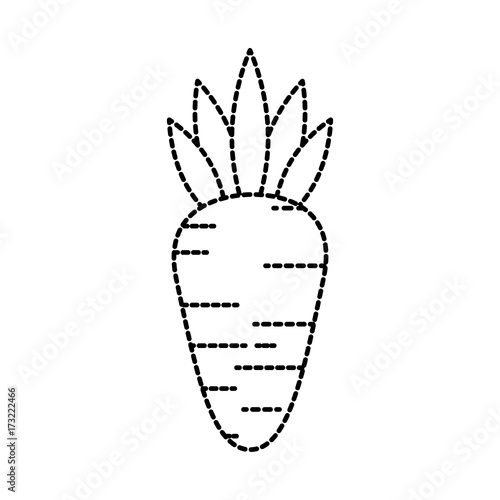carrot vegetable fresh healthy food vector illustration