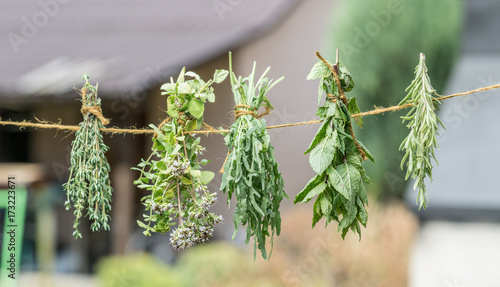 Bundles of flavoured herbs drying on the open air. Nature background.