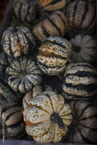 Dirty Pumpkins