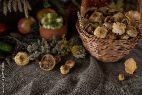 Still life from autumn natu...