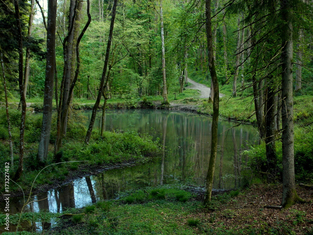 Passaggio intorno al lago Passaggio intorno al lago