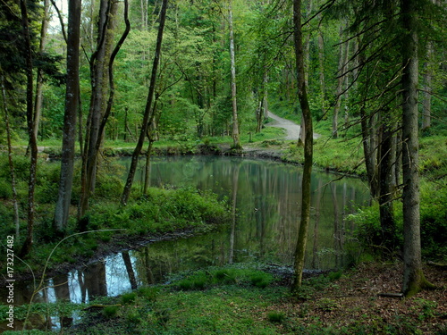 Passaggio intorno al lago