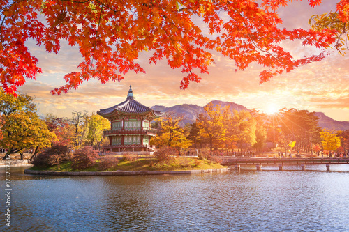 Maple trees with a lake at gyeongbokgung palace, Seoul, South Korea.