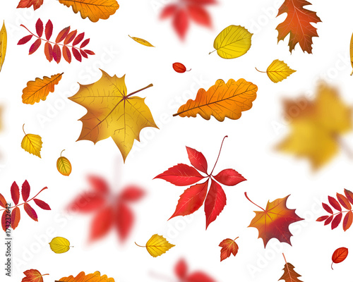 Bright  flying autumn leaves seamless pattern isolated on white background. Vector nature illustration with blurred effects for your fall design