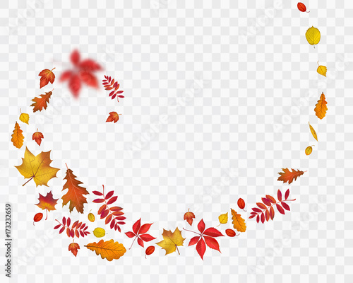 Bright autumn leaves spiral on transparent background. Vector nature illustration for your fall design