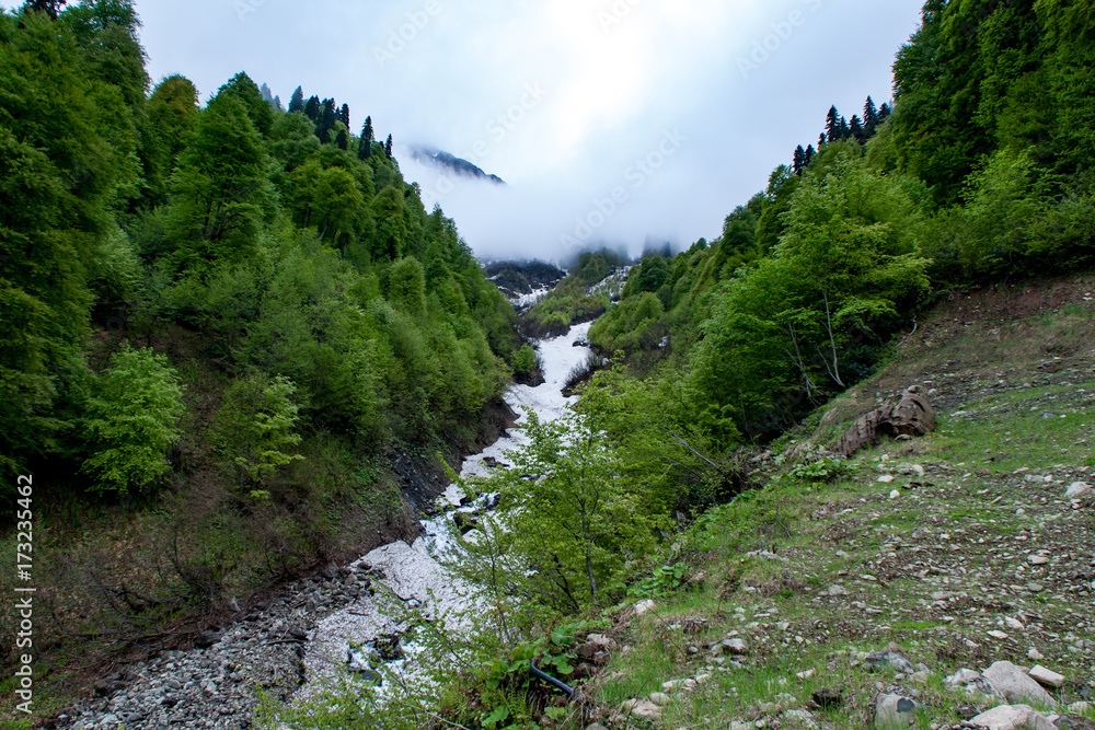 Mountain stream in Krasnaya Polyana