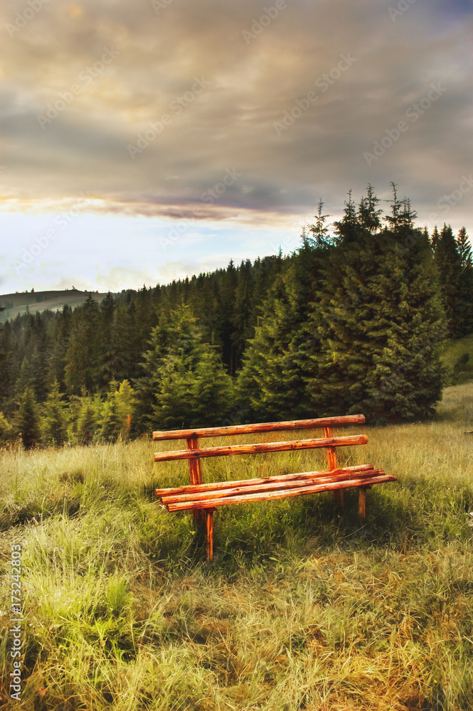 Obraz premium Wooden bench in the mountain meadow. Rural landscape