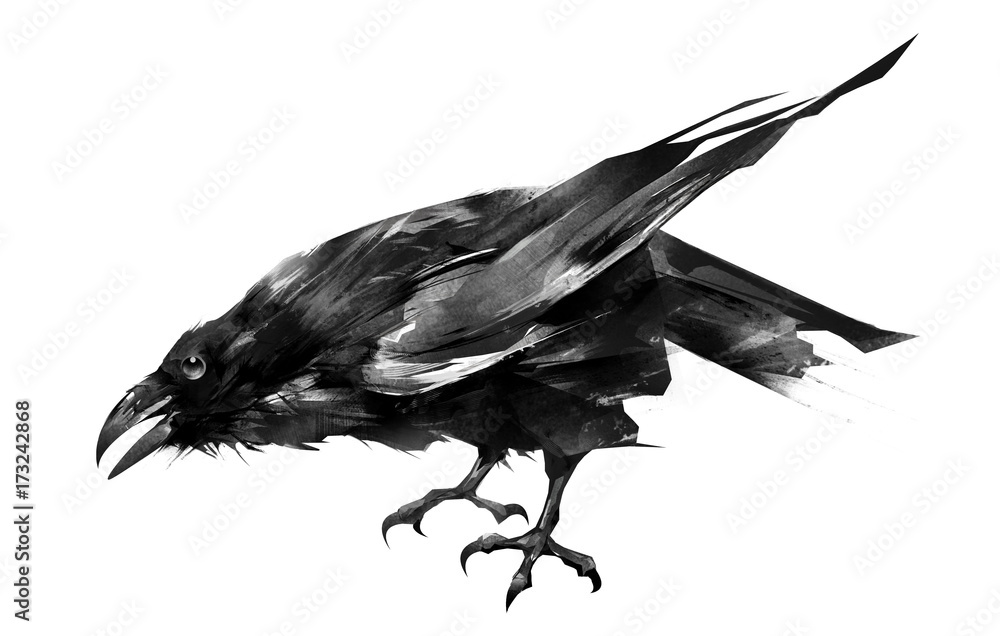 Fototapeta premium the painted bird is a Raven sitting on a white background