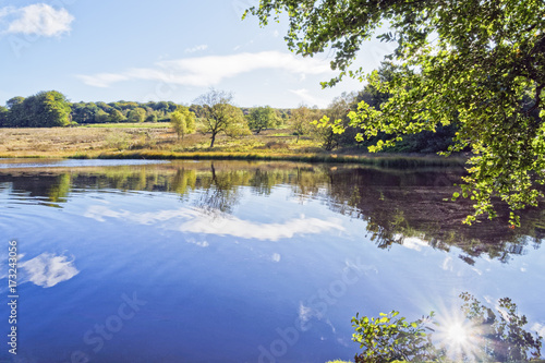 Autumn landscape reflected in the water of a large pond with overhanging trees and a bright sun flare at bottom right.