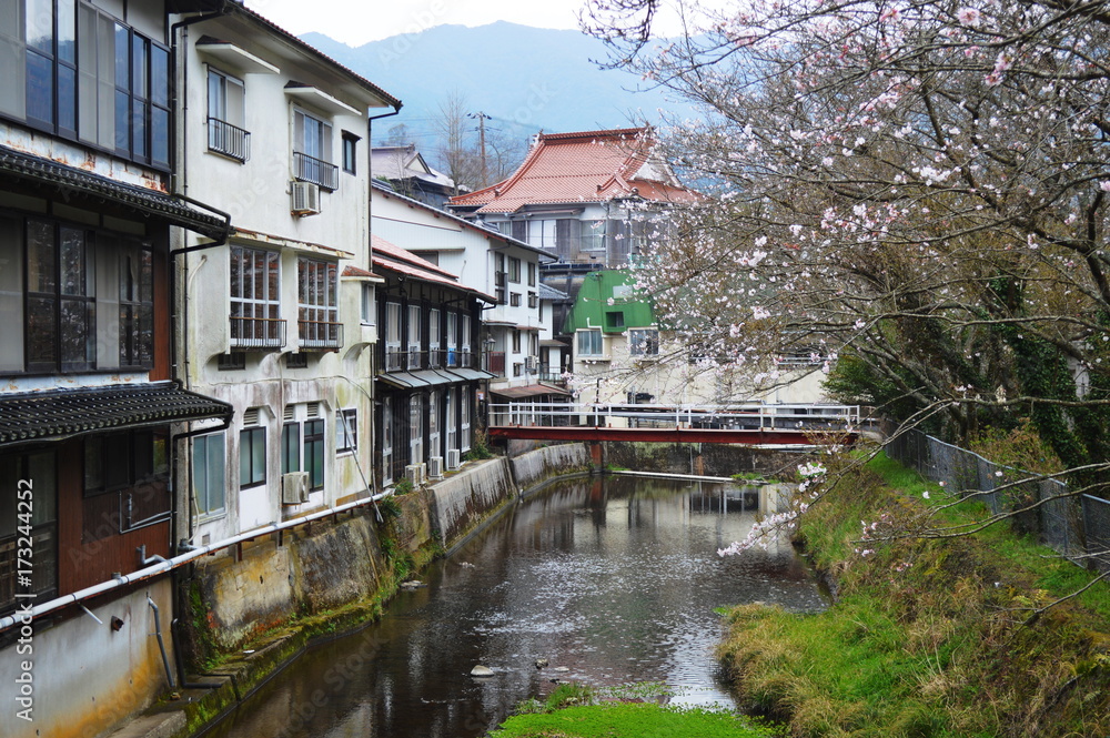 桜の咲く温泉地、俵山温泉 桜の咲く温泉地、俵山温泉