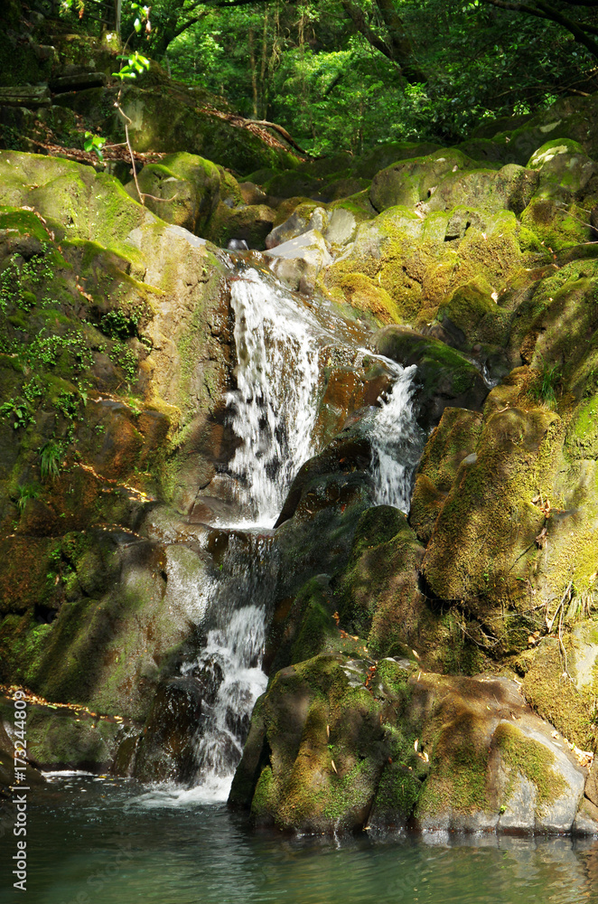 Fototapeta premium 滝 川 山