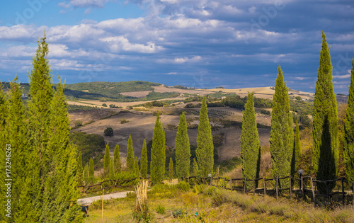 A summer in Italy - the wonderful Tuscany